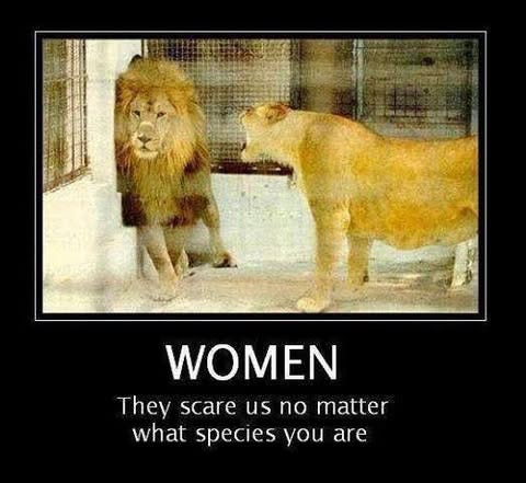May be an image of big cat and text that says 'WOMEN They scare us no matter what species you are'