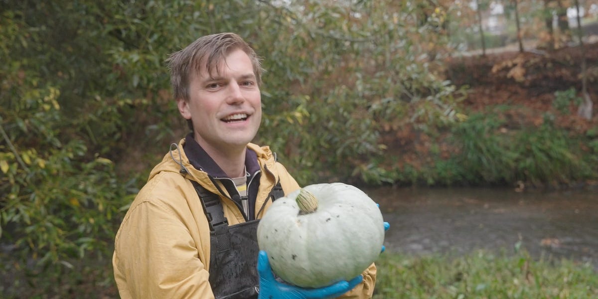 Eating London's sewage vegetables