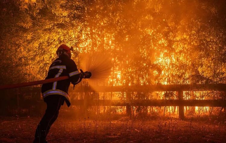 In France, more than 160,000 hectares have burned and some 13,566 fires or outbreaks have been recorded so far this season