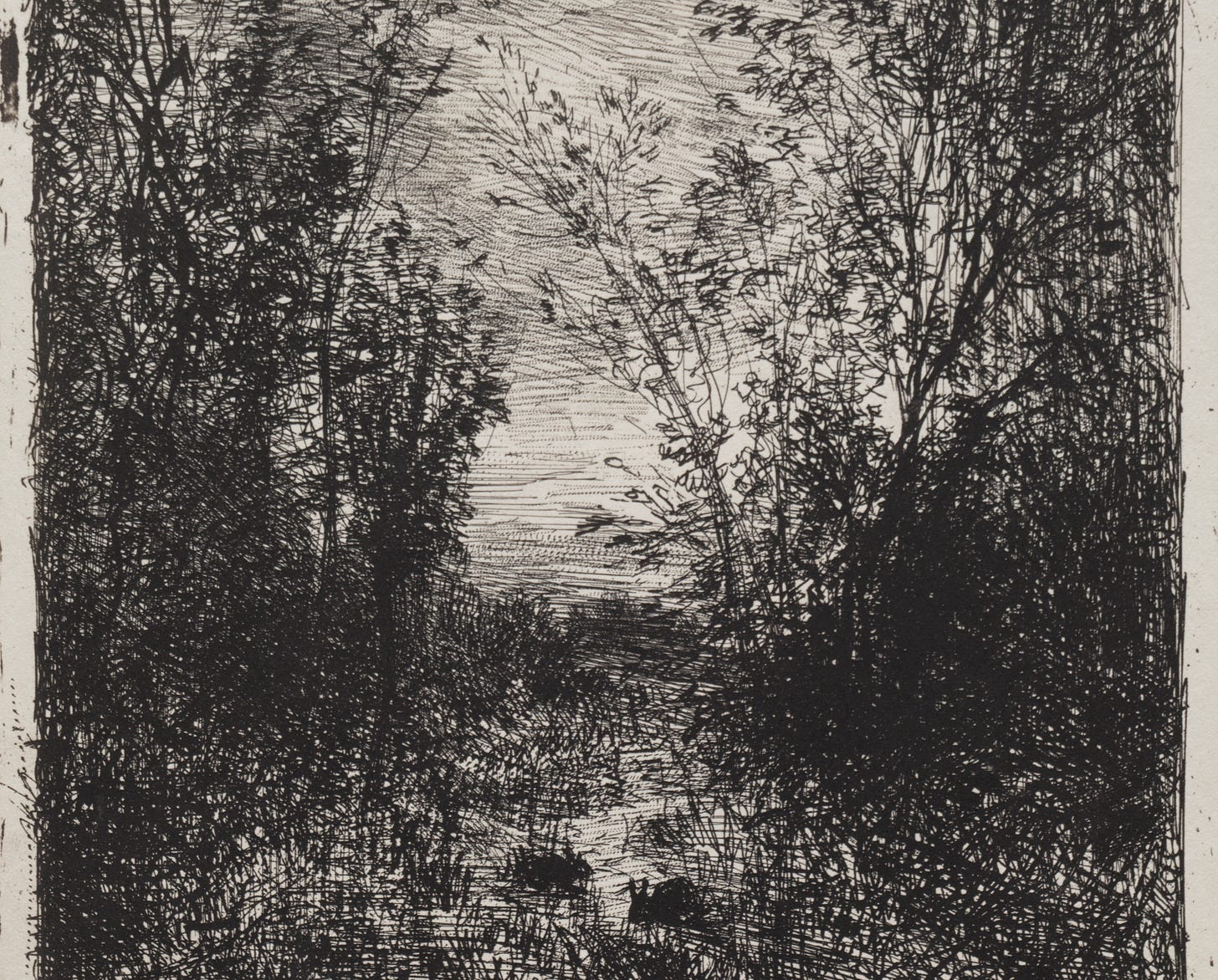Scribbled thicket leading to an opening.