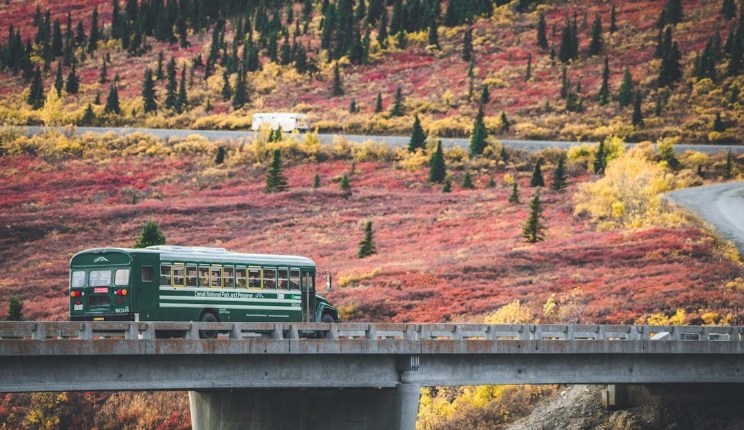 A green bus for tourists on a bridge, surrounded by the tundra in Denali National Park