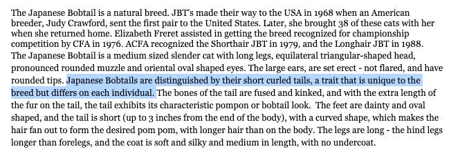 The Japanese Bobtail is a natural breed. JBT's made their way to the USA in 1968 when an American breeder, Judy Crawford, sent the first pair to the United States. Later, she brought 38 of these cats with her when she returned home. Elizabeth Freret assisted in getting the breed recognized for championship competition by CFA in 1976. ACFA recognized the Shorthair JBT in 1979, and the Longhair JBT in 1988.   The Japanese Bobtail is a medium sized slender cat with long legs, equilateral triangular-shaped head, pronounced rounded muzzle and oriental oval shaped eyes. The large ears, are set erect - not flared, and have rounded tips. Japanese Bobtails are distinguished by their short curled tails, a trait that is unique to the breed but differs on each individual. The bones of the tail are fused and kinked, and with the extra length of the fur on the tail, the tail exhibits its characteristic pompon or bobtail look.  The feet are dainty and oval shaped, and the tail is short (up to 3 inches from the end of the body), with a curved shape, which makes the hair fan out to form the desired pom pom, with longer hair than on the body. The legs are long - the hind legs longer than forelegs, and the coat is soft and silky and medium in length, with no undercoat.