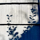 When I don't know what to do next, I watch the light