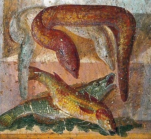
 "Murena, anguilla e pesci",   affresco, casa dei casti amanti a Pompei