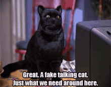 a black cat is sitting in front of a television with a caption that says great a fake talking cat just what we need around here a black cat is sitting in front of a television with a caption that says great a fake talking cat just what we need around here