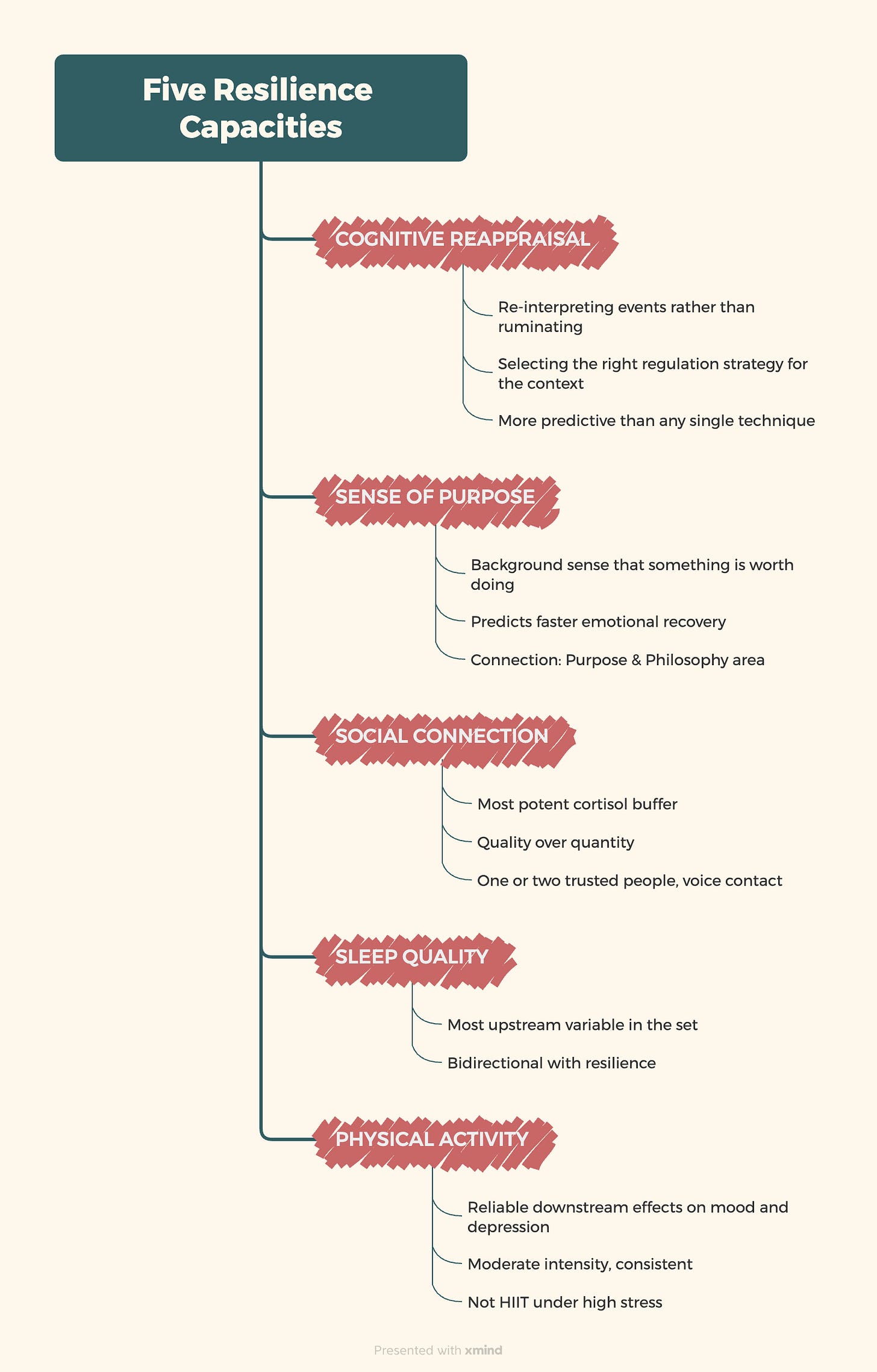 Mindmap with five branches showing what builds resilience: cognitive reappraisal, sense of purpose, social connection, sleep quality, and physical activity, each with key sub-points. Mindmap with five branches showing what builds resilience: cognitive reappraisal, sense of purpose, social connection, sleep quality, and physical activity, each with key sub-points.