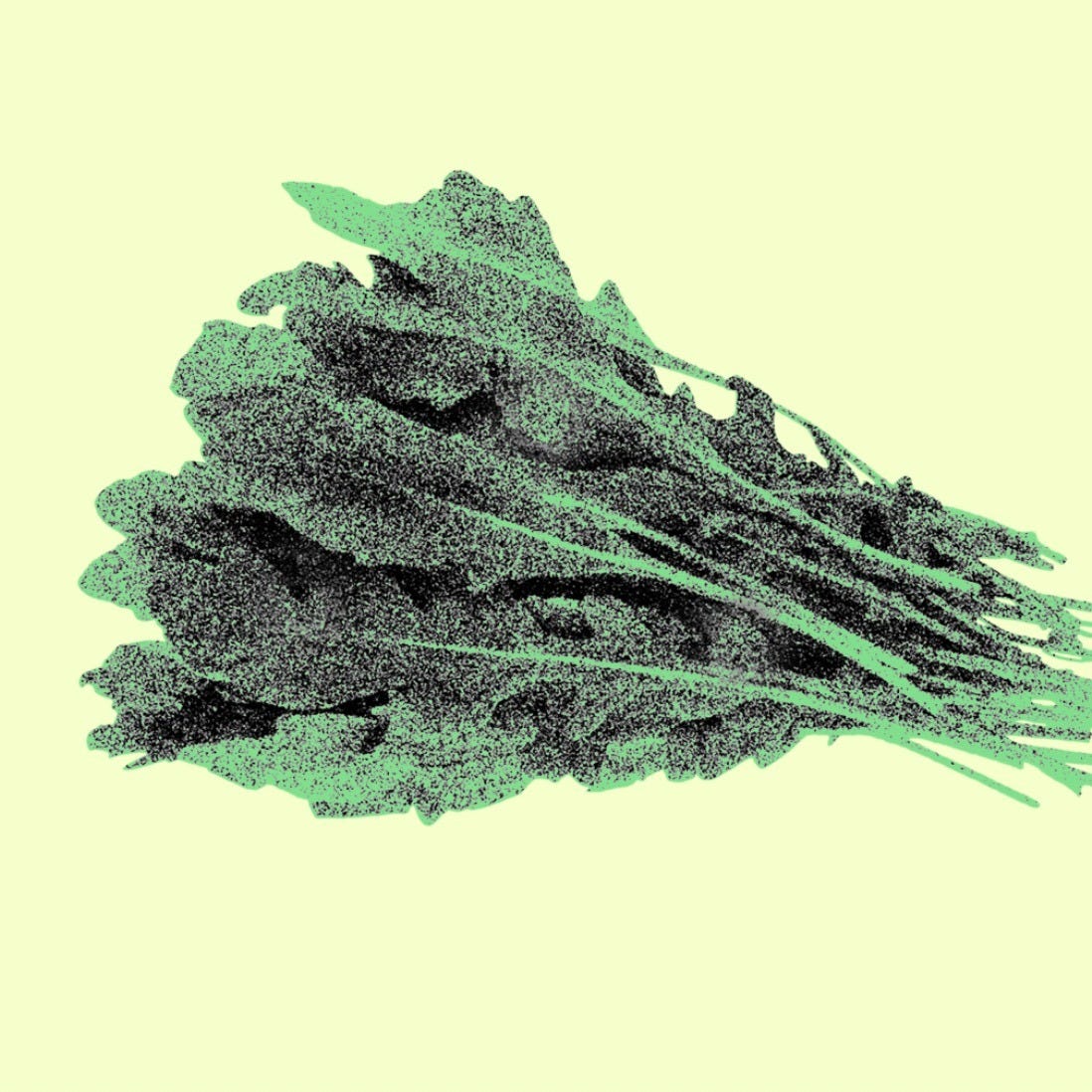 Arugula Darling