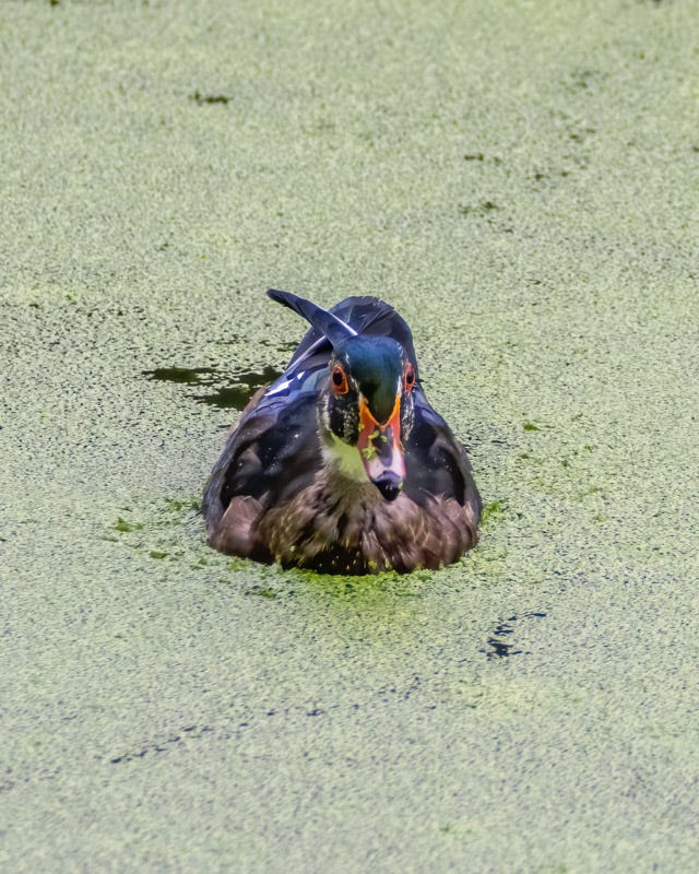 20250918-Sweetwater-215-Edit 2.jpg 20250918-Sweetwater-215-Edit 2.jpg