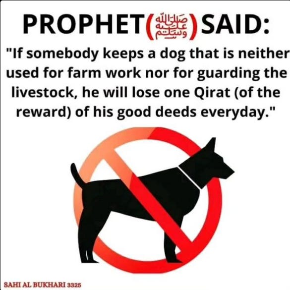 Islaminuskon “profeetan”, Muhammedin mukaan: “Jos joku pitää koiria, joita ei käytetä työeläiminä ulkona - vaan lemmikkeinä, hän menettää päivittäisen palkintonsa hyvistä teoistaan.” Islaminuskon “profeetan”, Muhammedin mukaan: “Jos joku pitää koiria, joita ei käytetä työeläiminä ulkona - vaan lemmikkeinä, hän menettää päivittäisen palkintonsa hyvistä teoistaan.”
