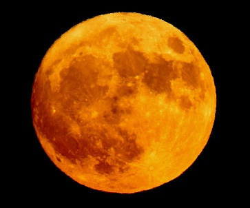 orangemoon.jpg orangemoon.jpg