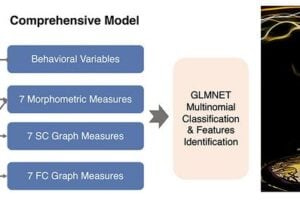 Illustration of the steps of the model construction for early diagnosis of bipolar disorder in adolescents (Left) and the conceptual graphs to show the importance of the advanced brain imaging techniques for bipolar disorder (right).