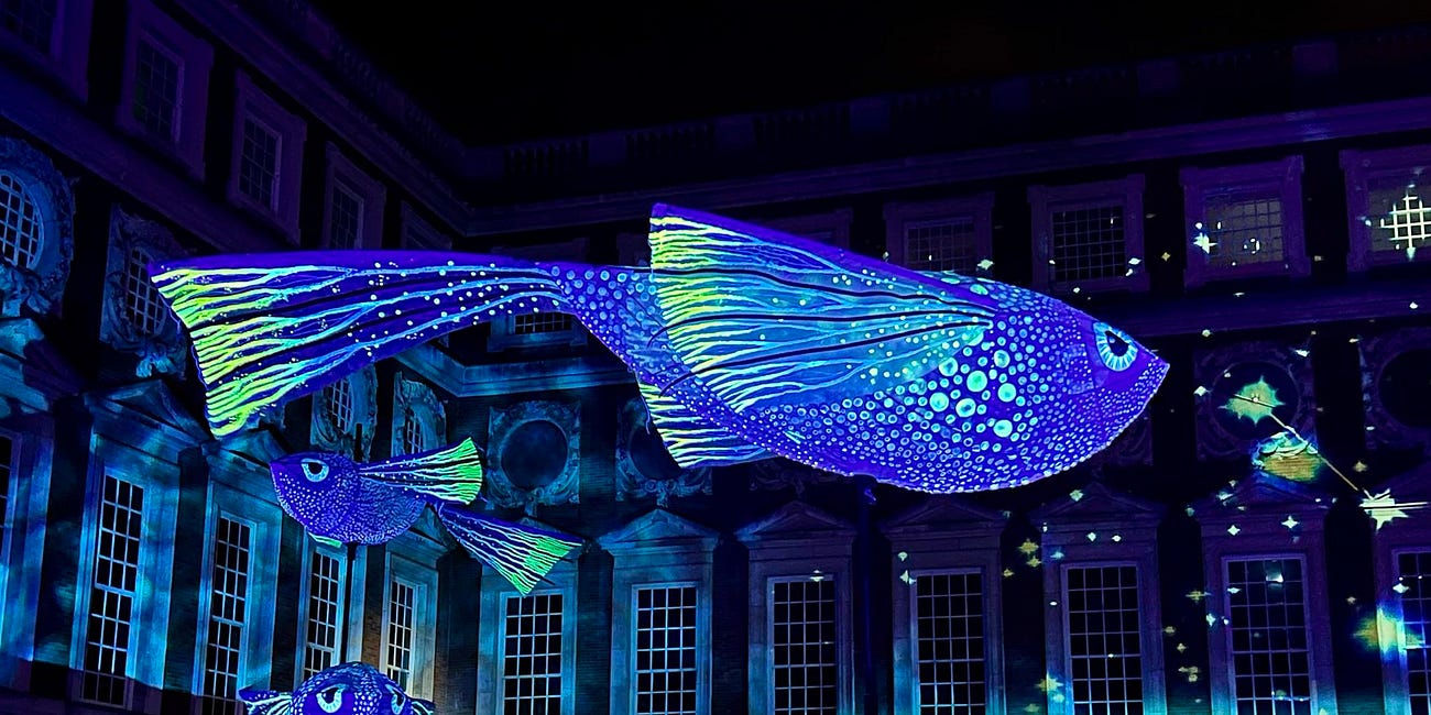 Free light events set to brighten up winter nights across Stoke-on-Trent and North Staffordshire