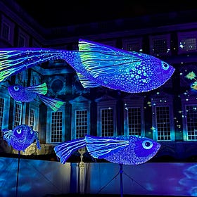 Free light events set to brighten up winter nights across Stoke-on-Trent and North Staffordshire