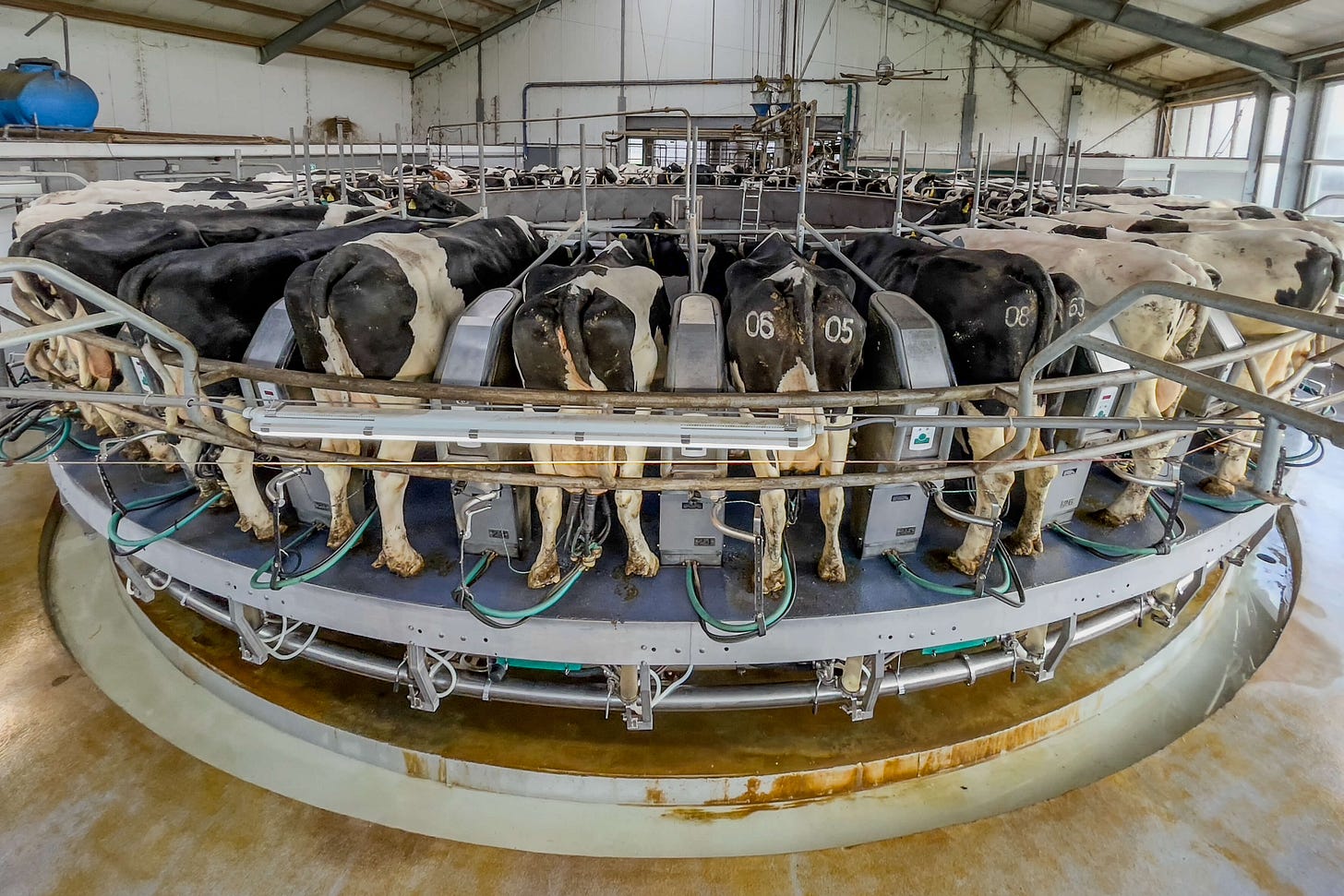 Melk-Karussell in den Niederlanden. Melk-Karussell in den Niederlanden.