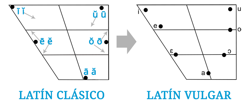 Evolución de las vocales tónicas del latín clásico al latín vulgar Evolución de las vocales tónicas del latín clásico al latín vulgar