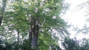 20160815_171837_resized