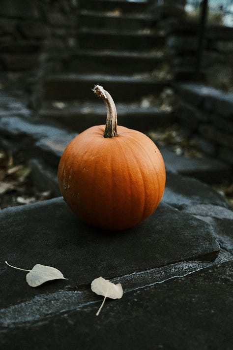 Tyler Knott Gregson Fuji photographs of a simple life