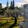Anthony Grant's Greek Column®