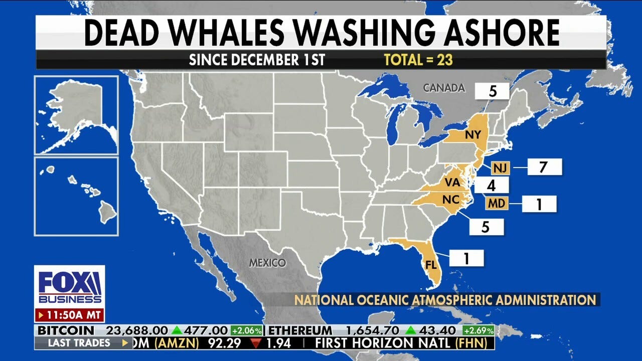 FOX Business correspondent Madison Alworth shares the latest on a Biden administration memo warning of potential harm to whales by offshore wind projects on 'The Big Money Show.' FOX Business correspondent Madison Alworth shares the latest on a Biden administration memo warning of potential harm to whales by offshore wind projects on 'The Big Money Show.'