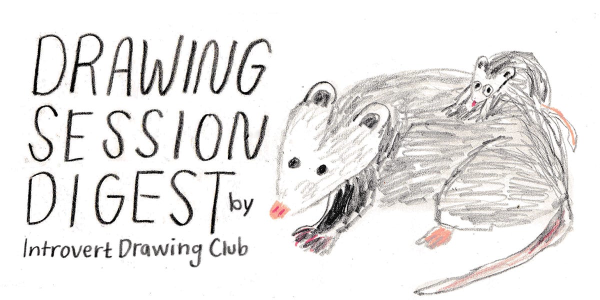 possum illustration by Beth Spencer possum illustration by Beth Spencer
