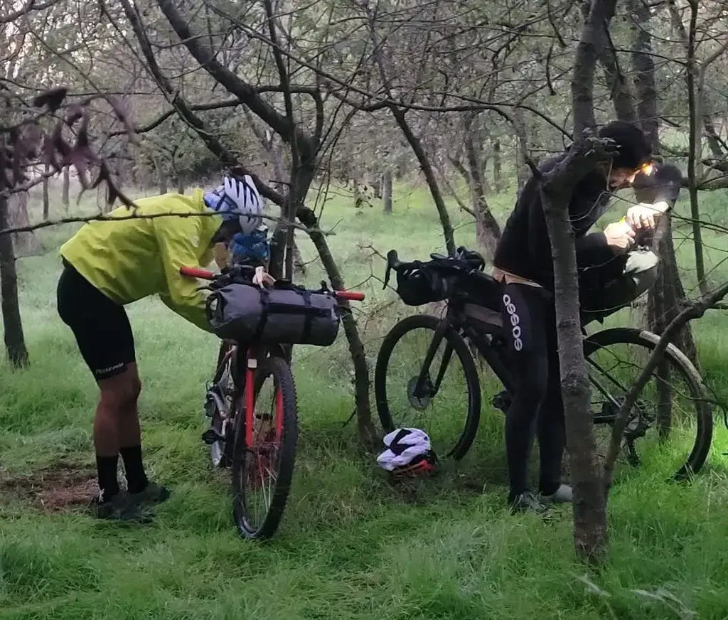 Manu Albert Manu Albert