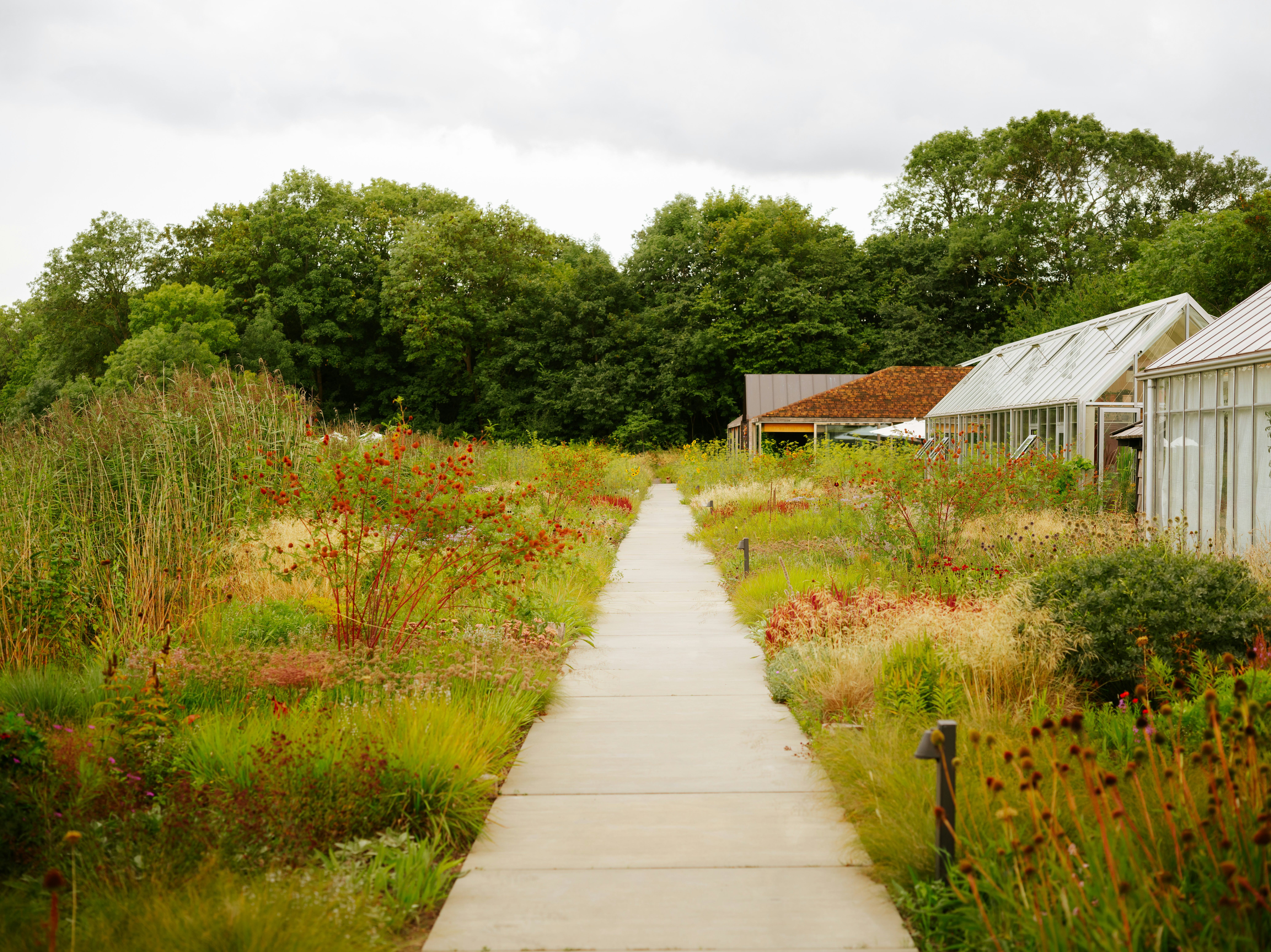 René Redzepi: A Work in Progres - by Daniel Scheffler