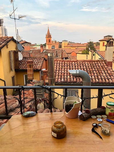 Crescere affacciatɜ a un balcone, Bologna 2024