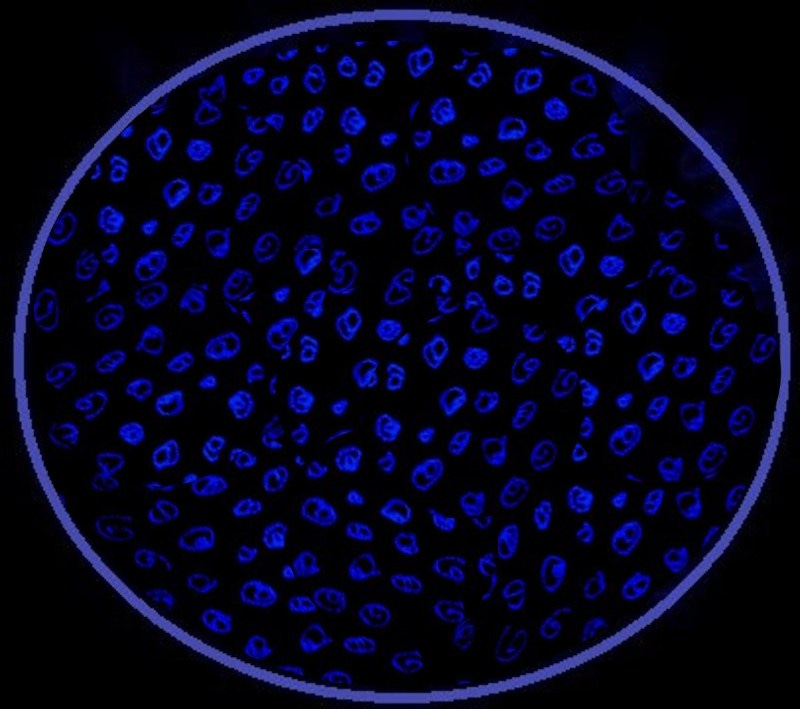 A Circular boundary around the broken bits and pieces of Fallen Logos.