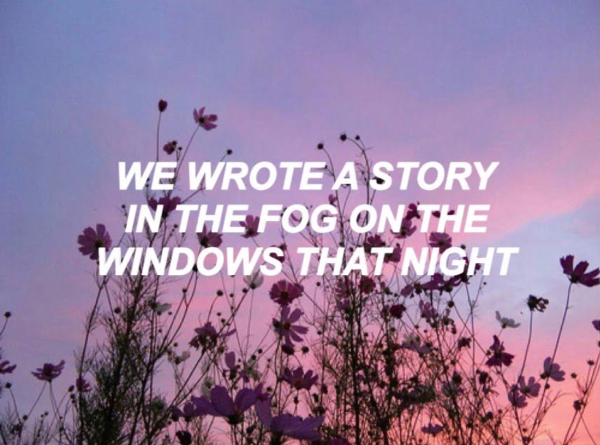 A patch of wildflowers at sunset. The text "we wrote a story in the fog on the windows that night" is overlaid on top of the image.