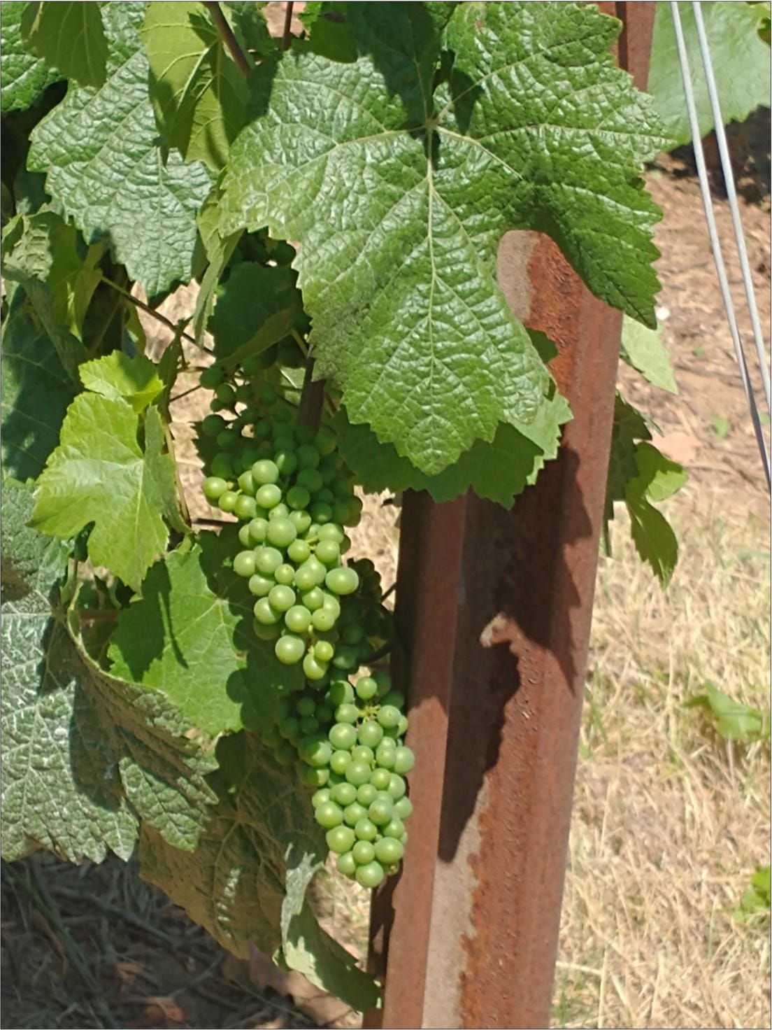 Where the Cool Clusters are hanging out this year.
