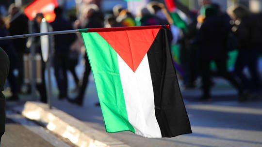 MAGA Zionist US Gaza Genocide Continues While World Community votes for Palestine Statehood.