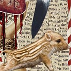 Poem: Baby Peccary 