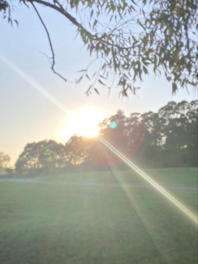 sunrise