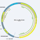 RNA:DNA hybrids survive digestion in mRNA vaccine manufacturing