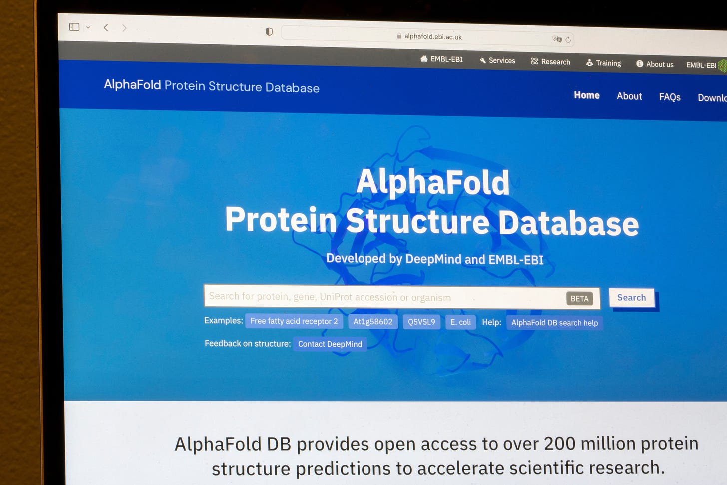 A laptop screen displaying the AlphaFold Protein Structure Database by Google DeepMind and EMBL EBI to represent AI tools in biological research