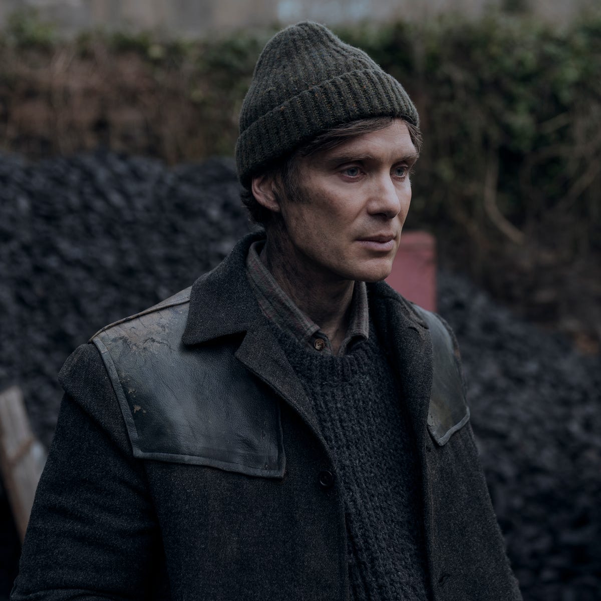 Cillian Murphy's new movie is now available to watch at home