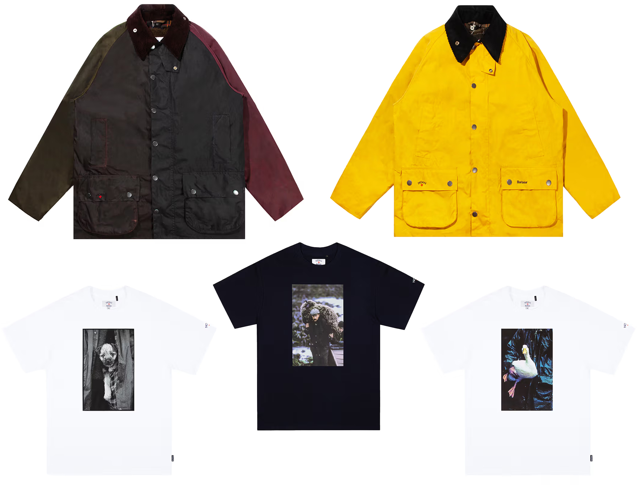 What to buy this week - street night live