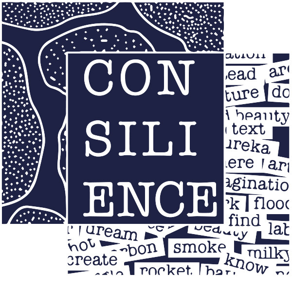 Consilience Journal