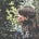 Agata's avatar