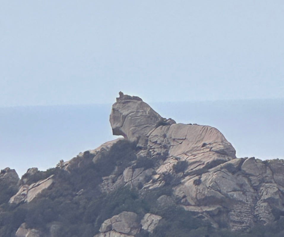 Daimon Seed Astrology