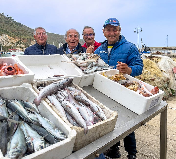 The fishing village of Castellammare del Golfo