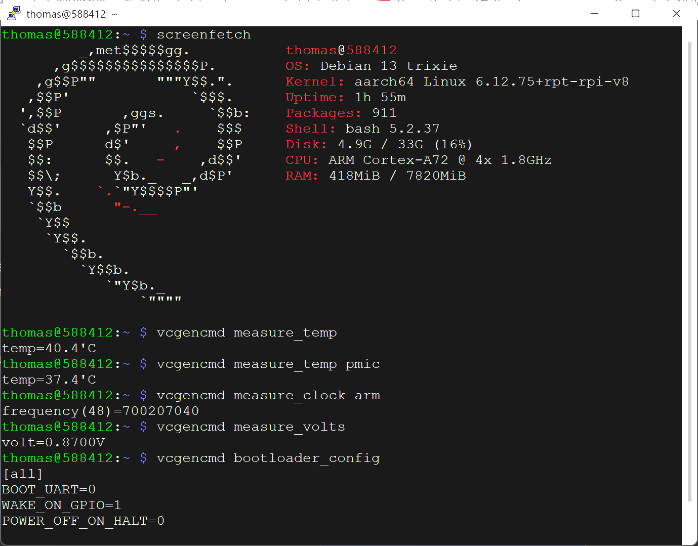 vcgencmd outputs