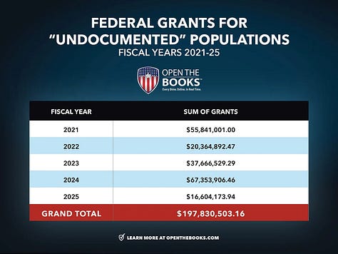 Nearly $200M in Direct Federal Grants Has Been Aimed at Expanding Programs to Serve Illegal Immigrants.
