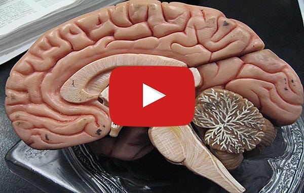 brain_w_playbutton.jpg