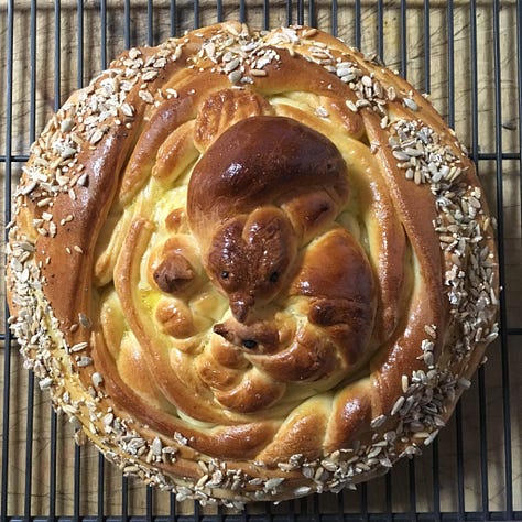 Several photos of challah that I’ve made for Shabbat Shirah in the shape of birds in a nest.