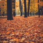 Our Profound Human Connection to Nature