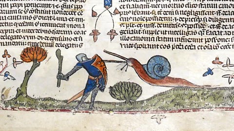 The mystery of the medieval fighting snails