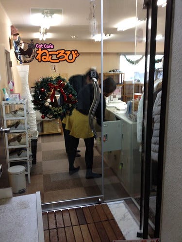 Cat Cafe Tokyo Cat Cafe Tokyo