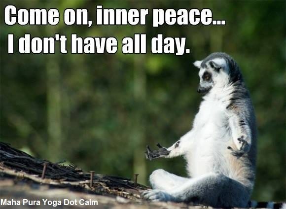 Yoga Memes — Maha Pura Yoga
