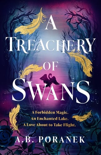 Book cover of A Treachery of Swans by A.B. Poranek